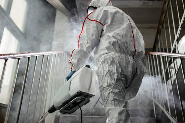 Why You Should Choose Our Mold Remediation Services in Pilot Point, TX